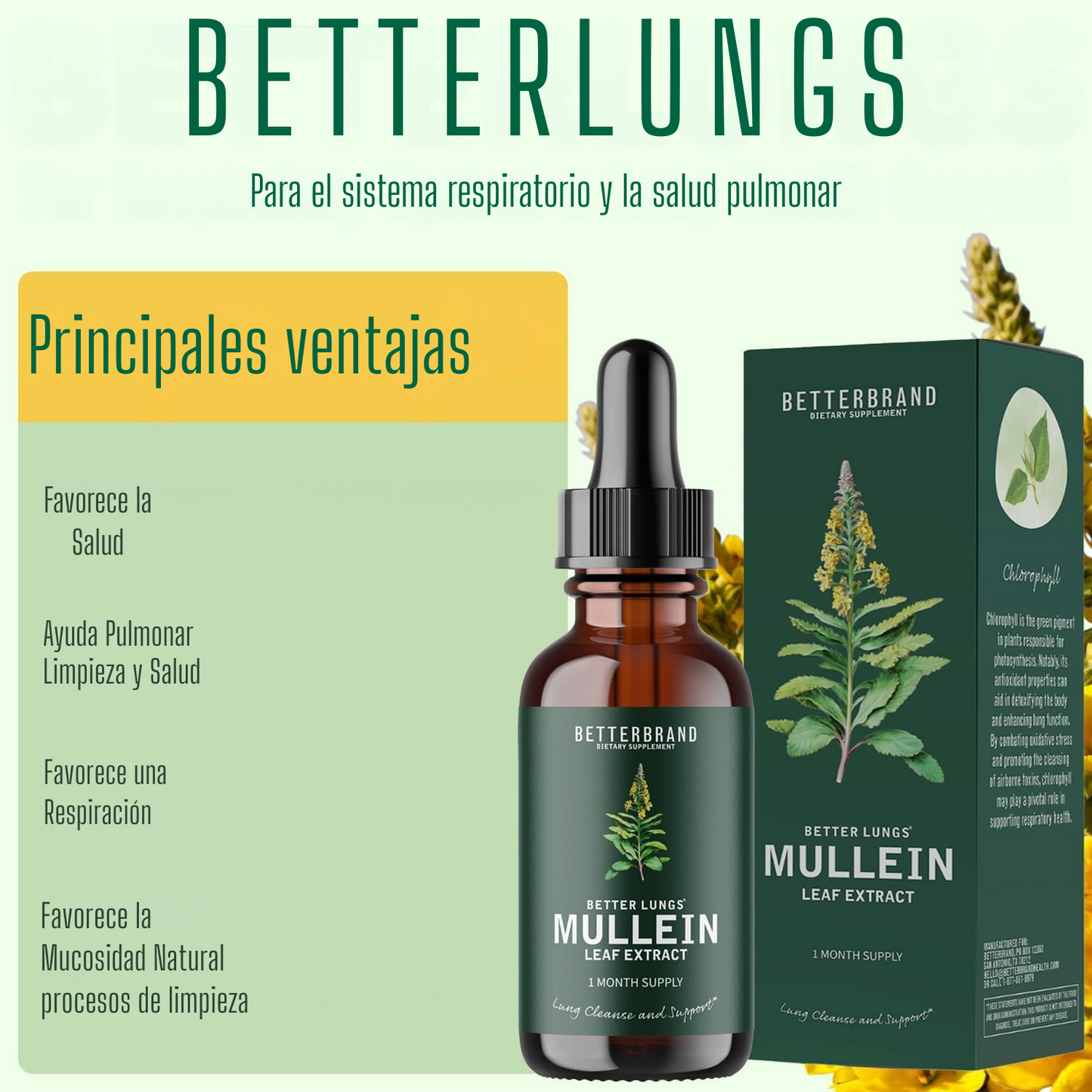 1+1 Extracto de Hoja de Gordolobo