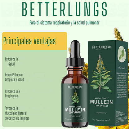 1+1 Extracto de Hoja de Gordolobo