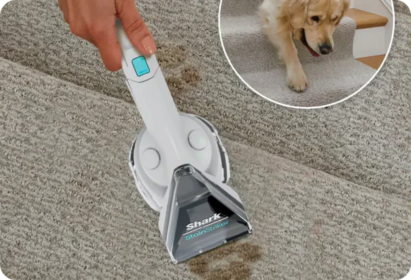Limpiador Portátil de Alfombras y Tapicerías Shark StainStriker