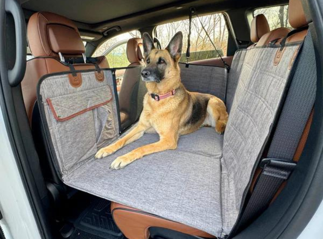 Funda de carro para mascotas