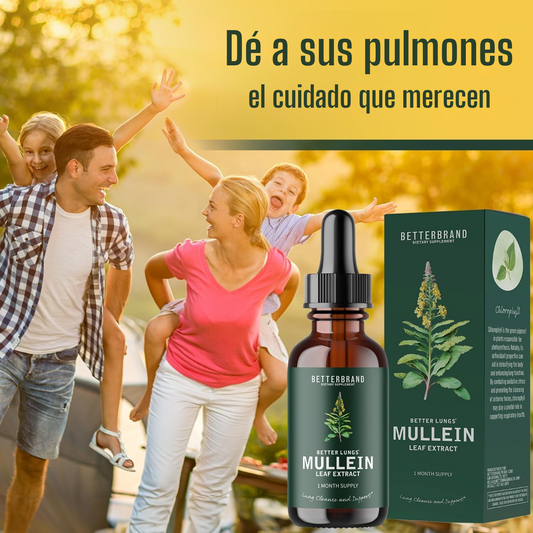 1+1 Extracto de Hoja de Gordolobo
